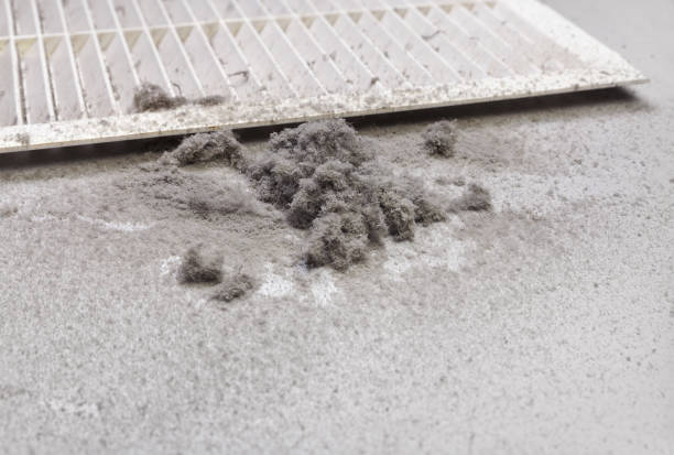 Best Ductwork Cleaning Services  in Albert Lea, MN