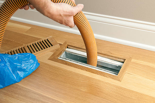Best Air Duct Cleaning Near Me  in Albert Lea, MN