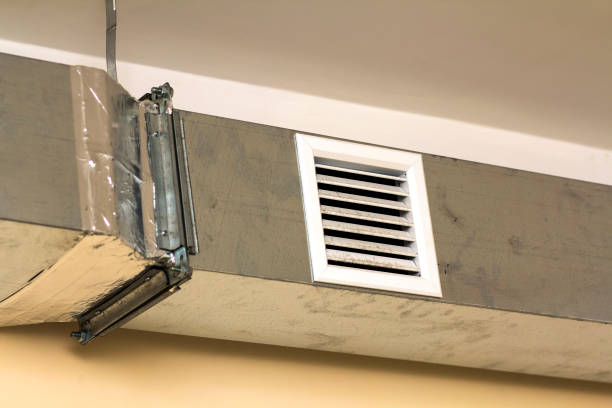 Best Air Vent Cleaning Services  in Albert Lea, MN